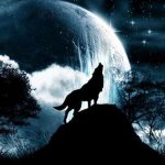 hylende ulv på månen tatovering