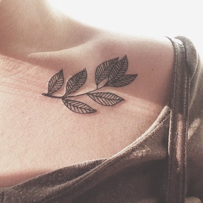 Moterų tatuiruotės ant raktikaulio - tatuiruotė ant raktikaulio šakelės