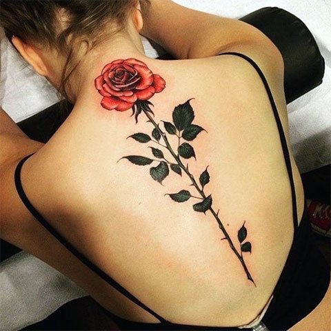 Kvinder tatoveringer som en rose på ryggen