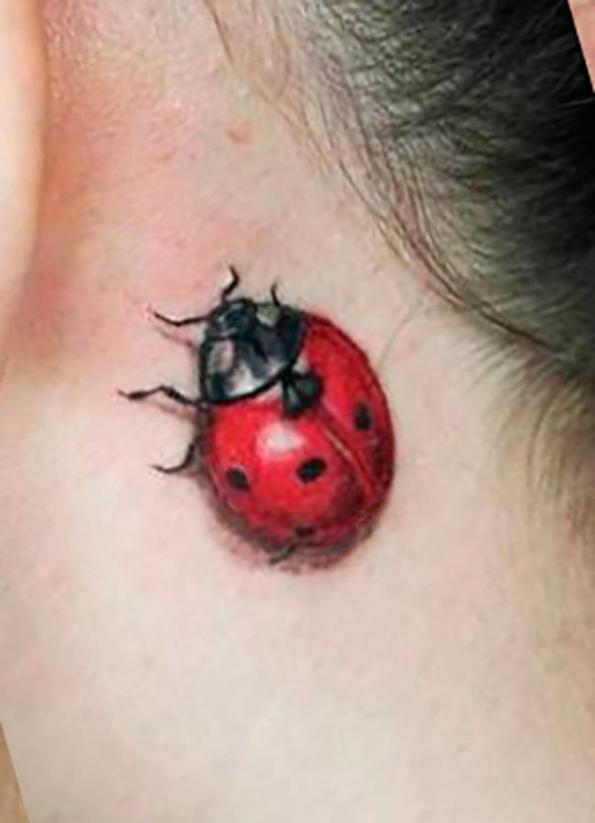 Amuleto de tatuagem Ladybird para mulheres