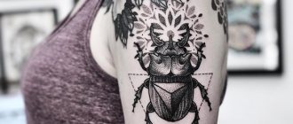 Skarabeuskuoriainen tatuointi. Merkitys, luonnokset, valokuvat jaloista, käsivarsista, ranteista, selästä ja niskasta.