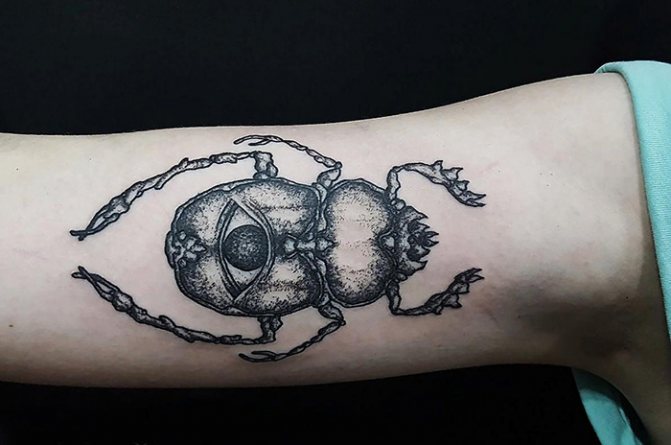 Tatuaggio dello scarabeo. Significato, schizzi, foto su gambe, braccia, polso, schiena e collo