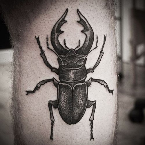 刀疤甲虫纹身。腿部、手臂、手腕、背部和颈部的含义、草图、照片