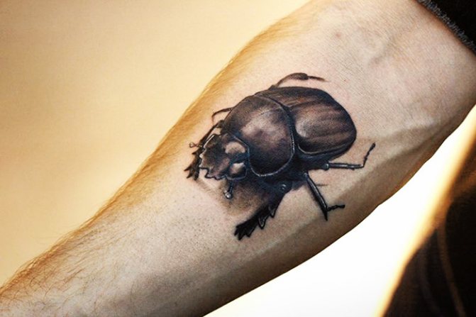 刀疤甲虫纹身。腿部、手臂、手腕、背部和颈部的含义、草图、照片