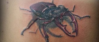 Beetlejuice-tatovering for tyveknægte