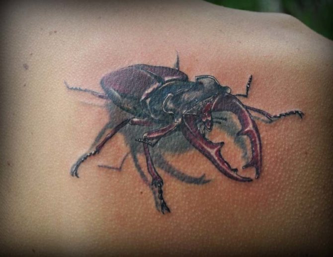 Tetovanie chrobáka pre zlodejov