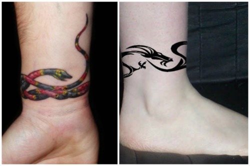 蛇和龙