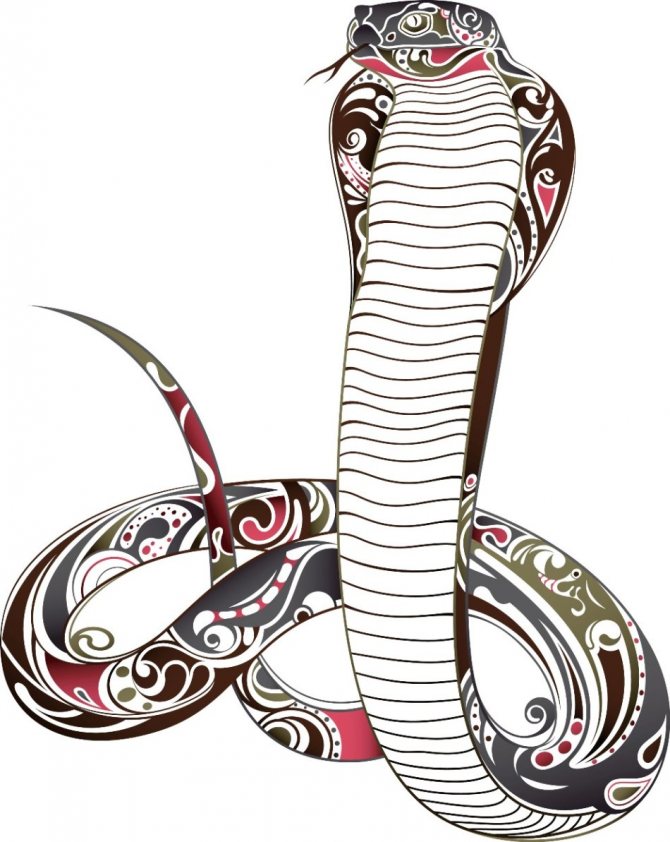 Serpente con pittura
