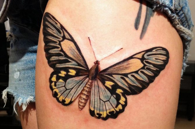 значение на пеперуда татуировка