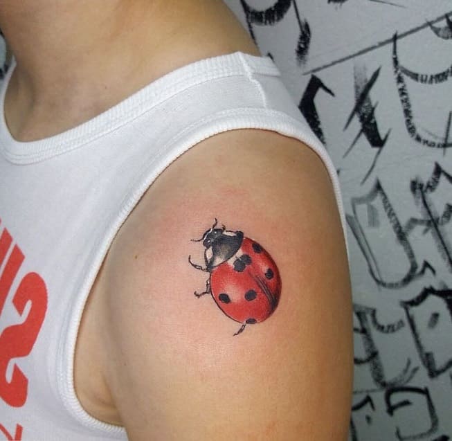 Význam tetovania ladybird pre chlapcov