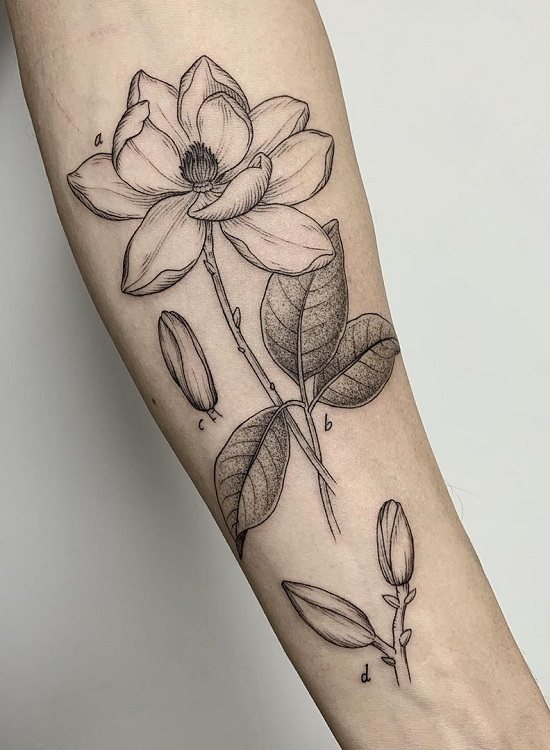 Betekenis van Tattoo Magnolia