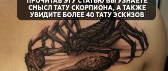 значение на татуировка скорпион