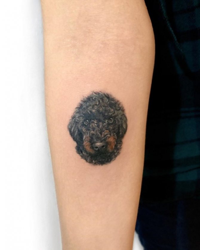 significato di cane tatuato