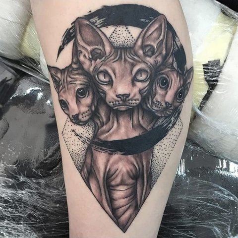 Значение на татуировка на котка за момичета и мъже, египетски котки, сфинкс, котешка глава, черно, крила, лапи