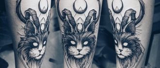 Betekenis van kat tattoo voor meisjes en mannen, Egyptische katten, sfinx, kat hoofd, zwart, vleugels, poten