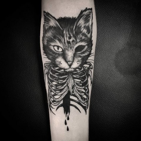 Katės tatuiruotės reikšmė mergaitėms ir vyrams, Egipto katės, sfinksas, katės galva, juoda, sparnai, letenos
