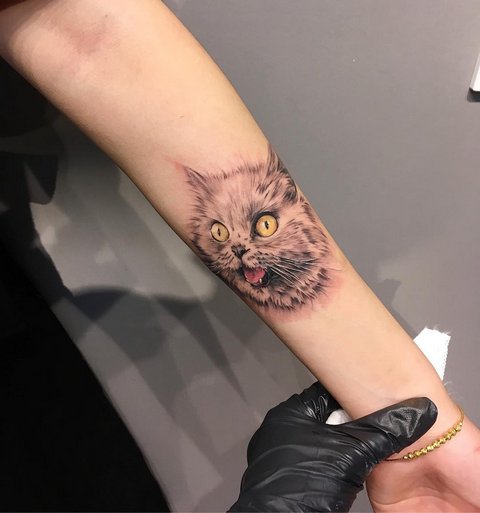Semnificația tatuajului de pisică pentru fete și bărbați, pisici egiptene, sfinx, cap de pisică, negru, aripi, labe